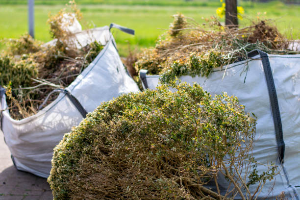 Best Electronics Removal Services  in Ripley, OH