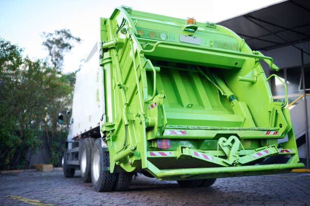 Yard Cleanup Services in Ripley, OH